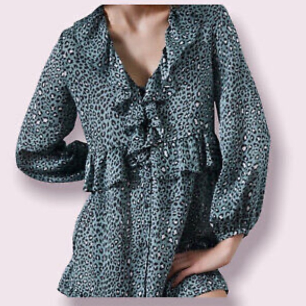 NWT Zara long sleeve animal print dress